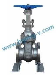 API/ANSI rise stem stainless steel flange gate valve